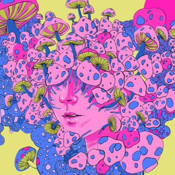 The Aesthetic Appeal of Mushroom Packaging and Its Marketing Impact