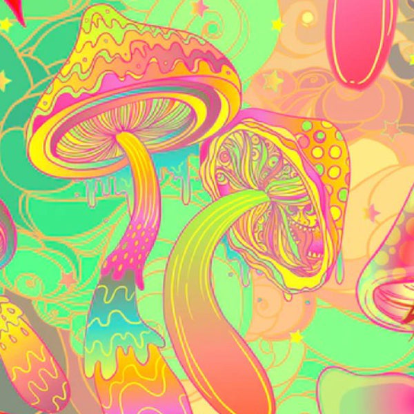 How To Conceal The Smell Of Magic Mushrooms From Detection