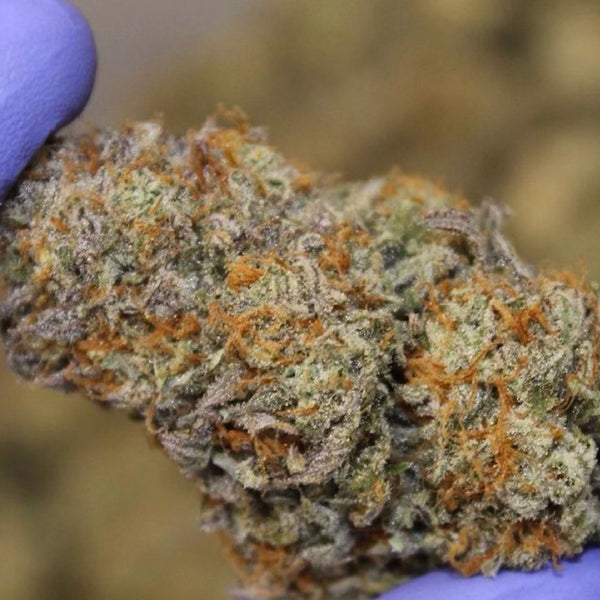 Advantages of Resealable Cannabis Packaging for Freshness and Convenience