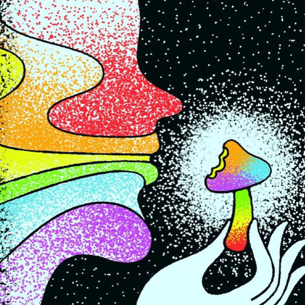 How To Safely Microdose Of Magic Mushrooms