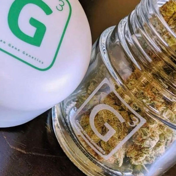 Elevate Cannabis Products with Stunning Jar Packaging: A Focus on Aesthetics & Functionality