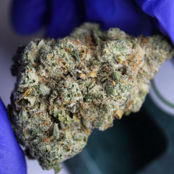 Elevate Your Cannabis Experience with Mylar Bags: The Ultimate Packaging Solution