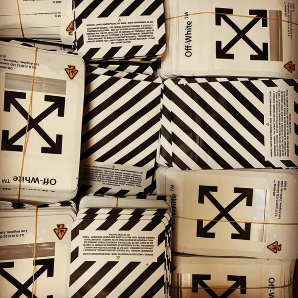 Mylar Bag vs. Vacuum Seal Bag: